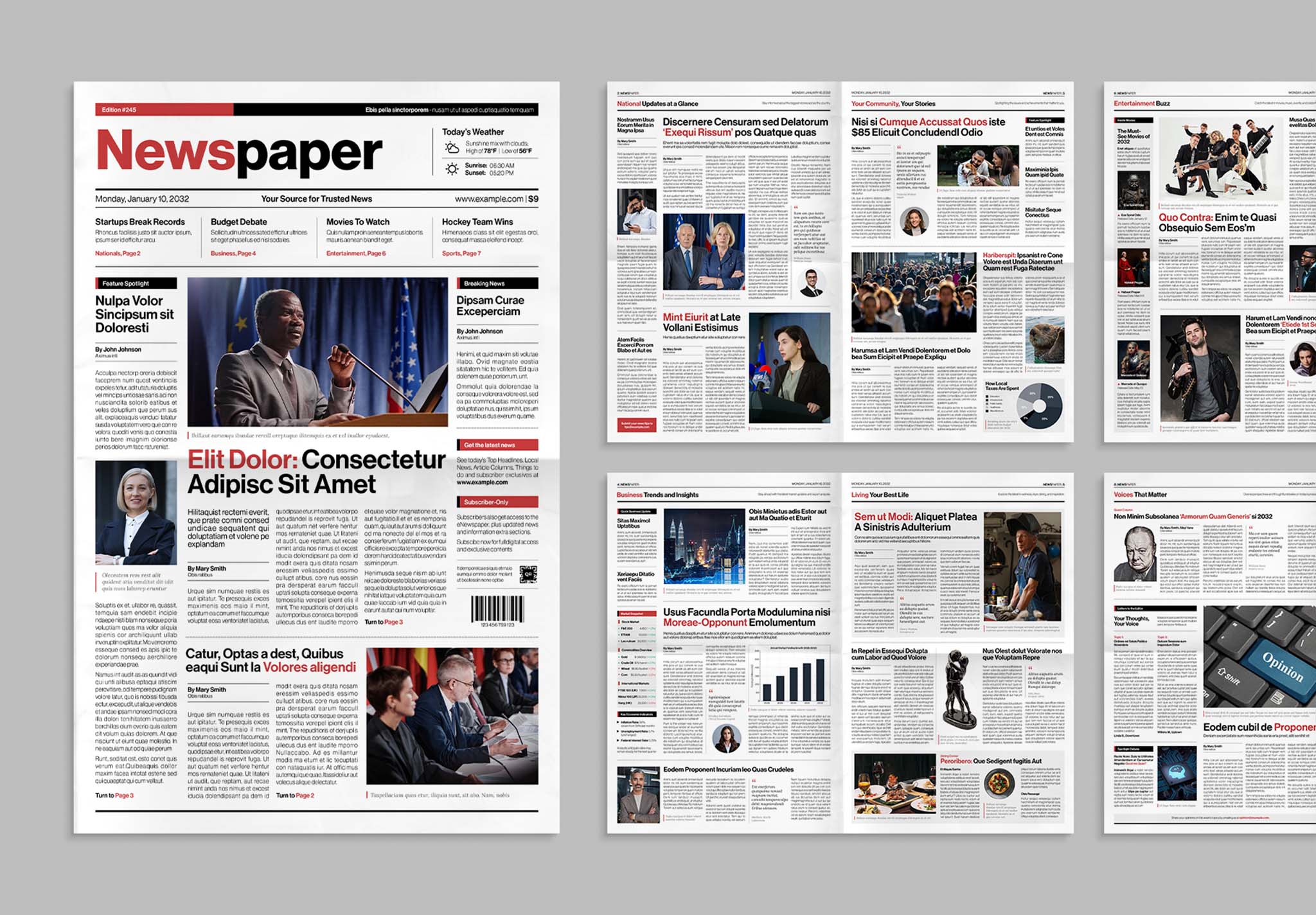 Newspaper